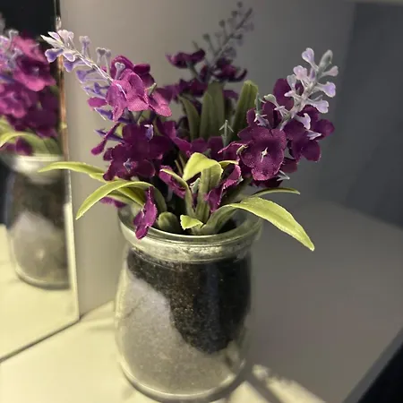 M&m Cozy Appartamento