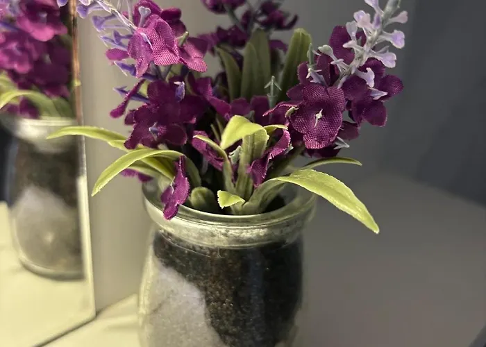 M&m Cozy-free Parking-self Check-in Apartment